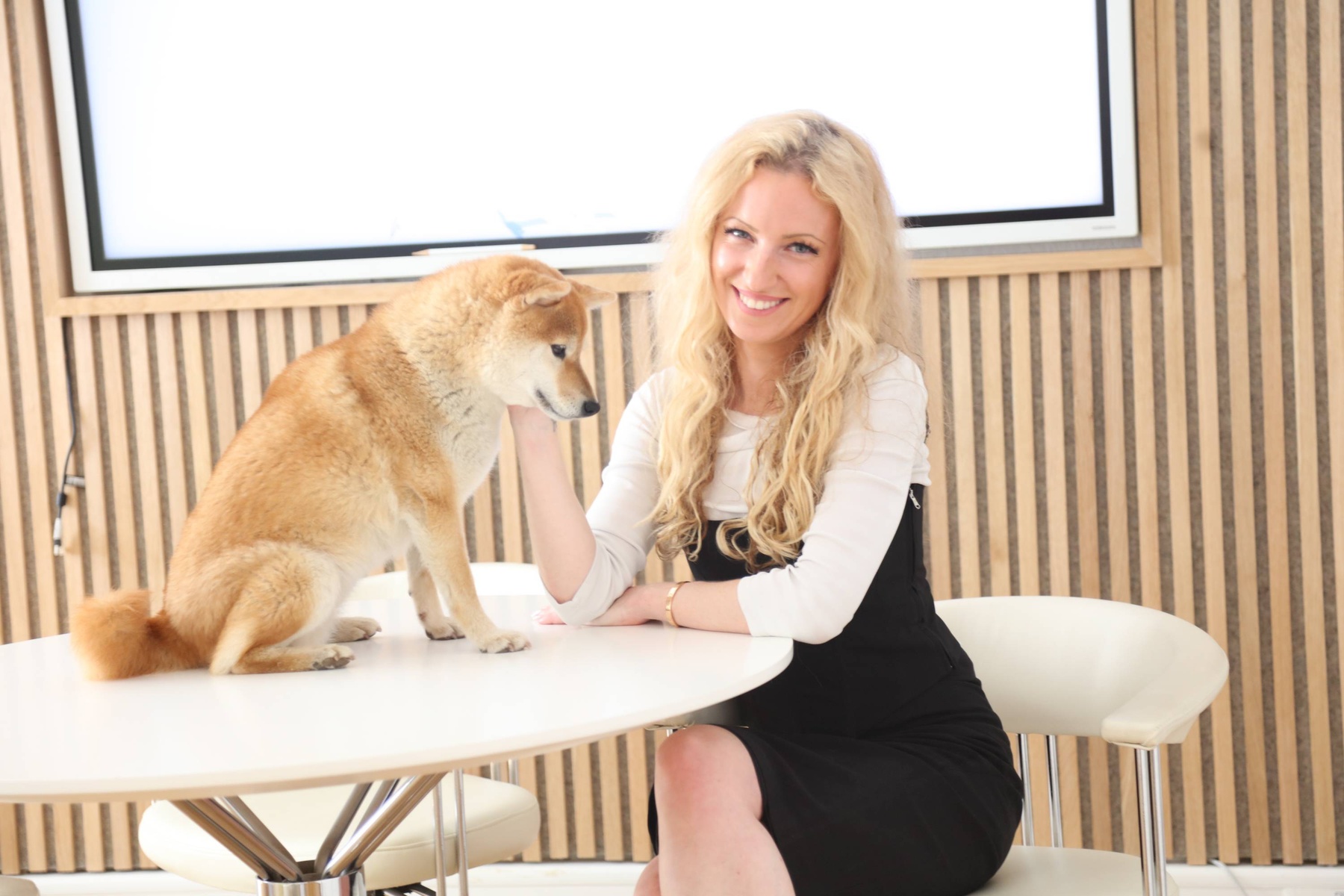 Bild aus der Kanzlei