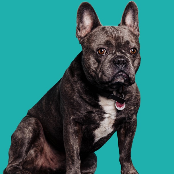 Bild aus der Kanzlei