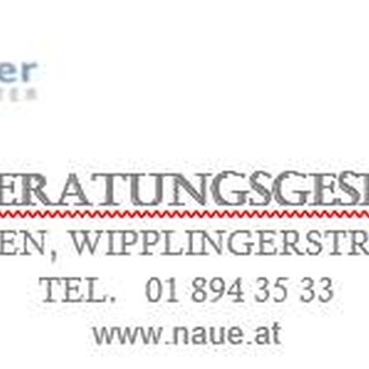 Logo: Naue Steuerberatungsgesellschaft mbH