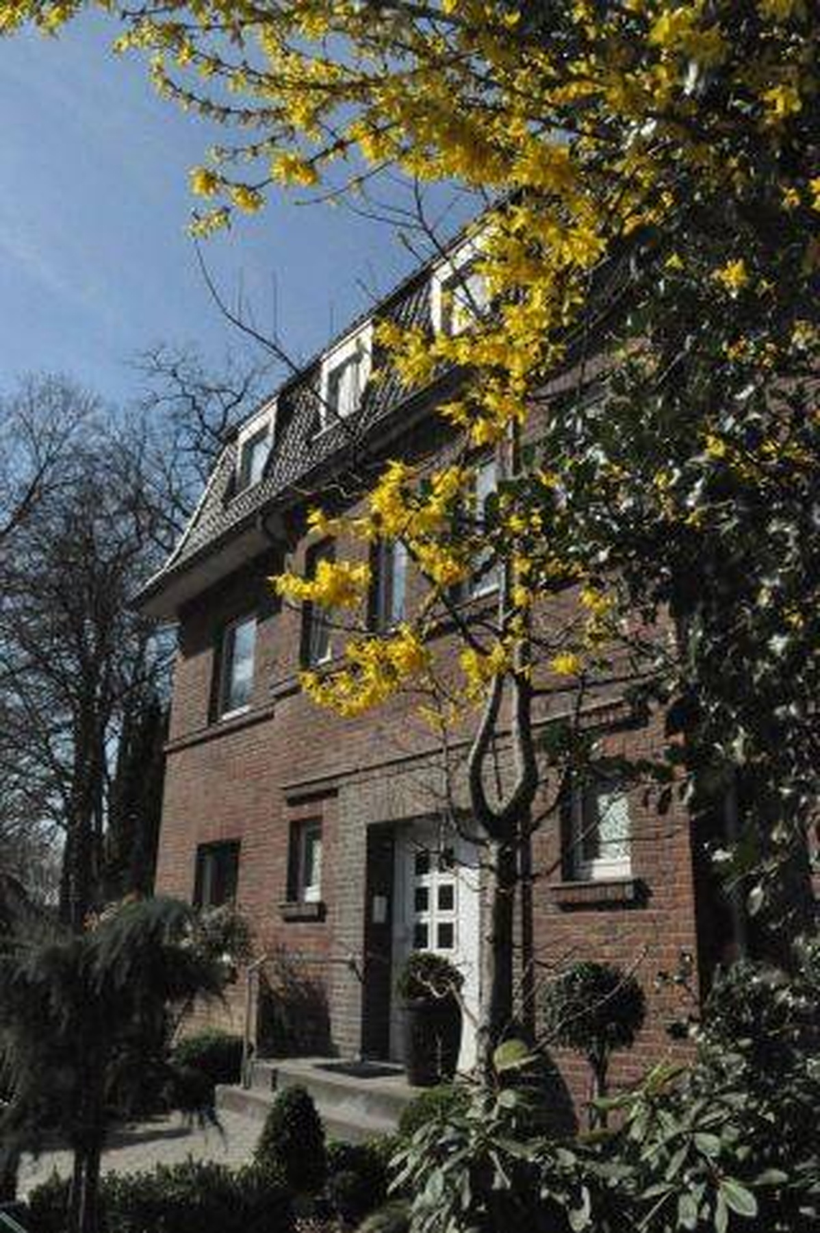 Bild aus der Kanzlei