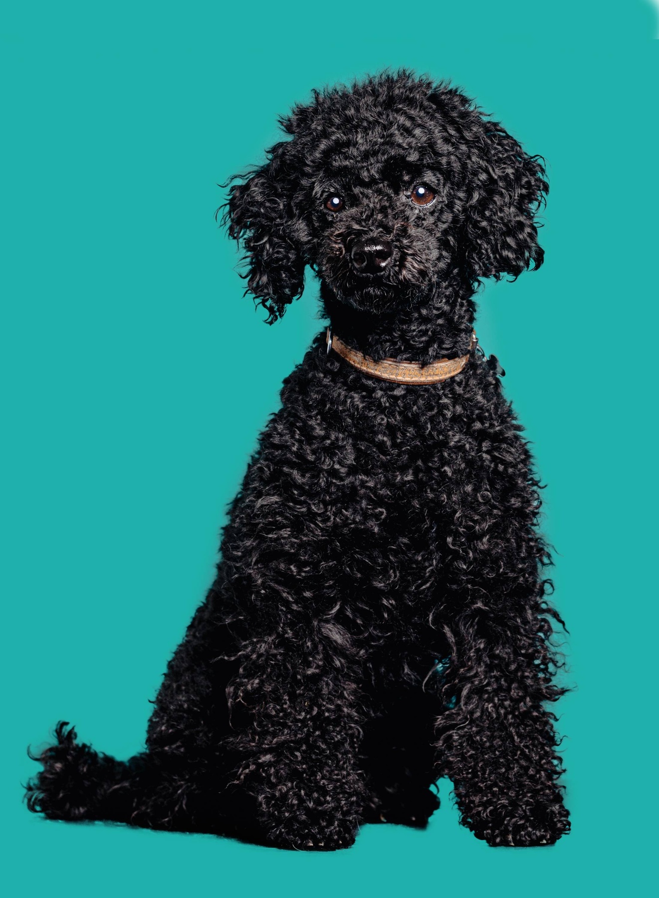 Bild aus der Kanzlei