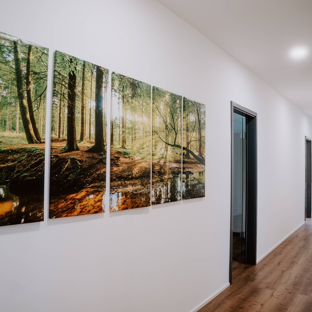 Bild aus der Kanzlei