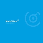 Logo: Mario Wilms Steuerberater